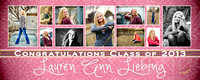 2x5 ft Banner_LAUREN LIEBING